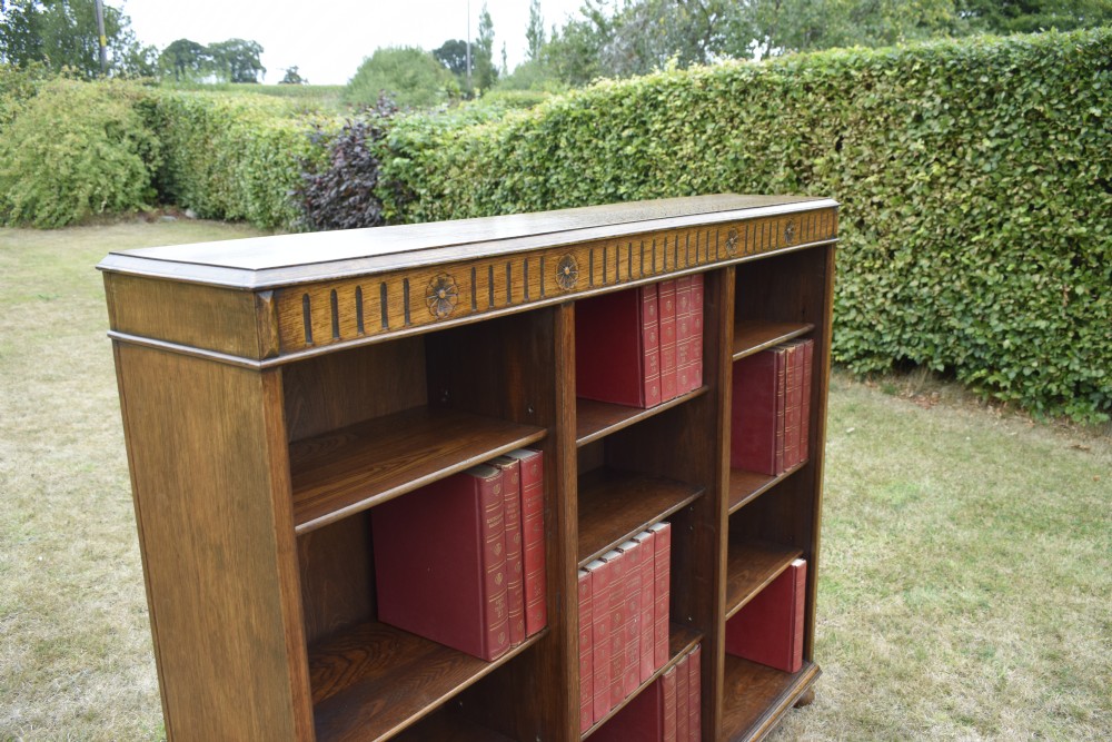 Early 20th Century Oak Bookcase View XVIII