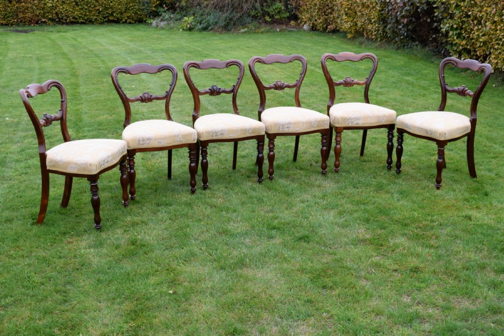 Set of 6 Victorian Rosewood Dining Chairs View III