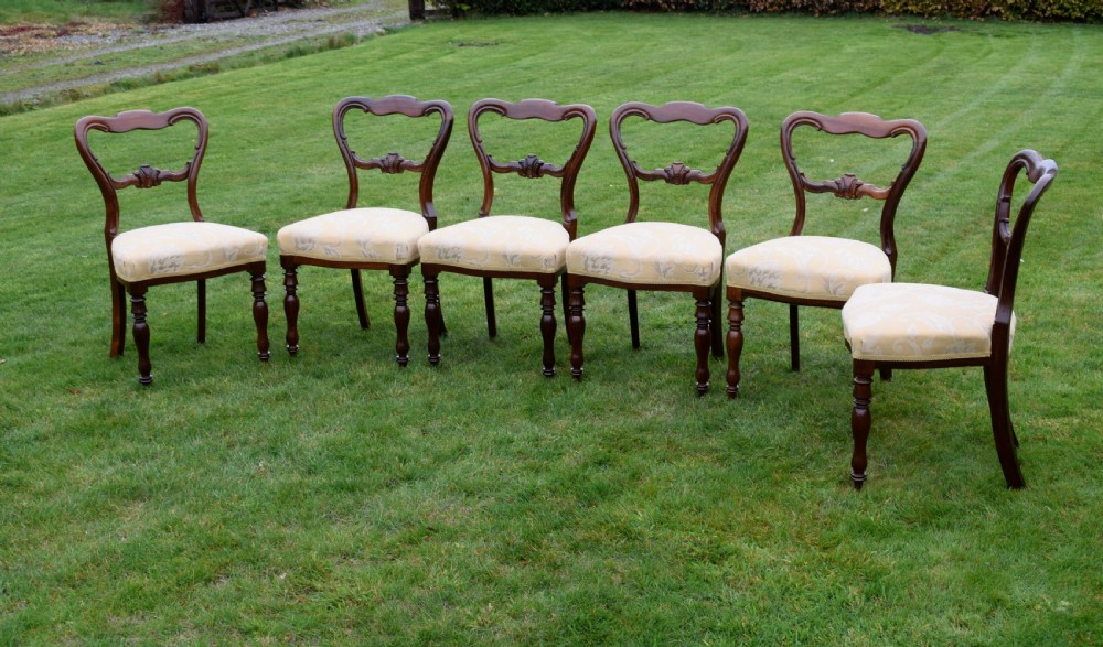 Set of 6 Victorian Rosewood Dining Chairs View V