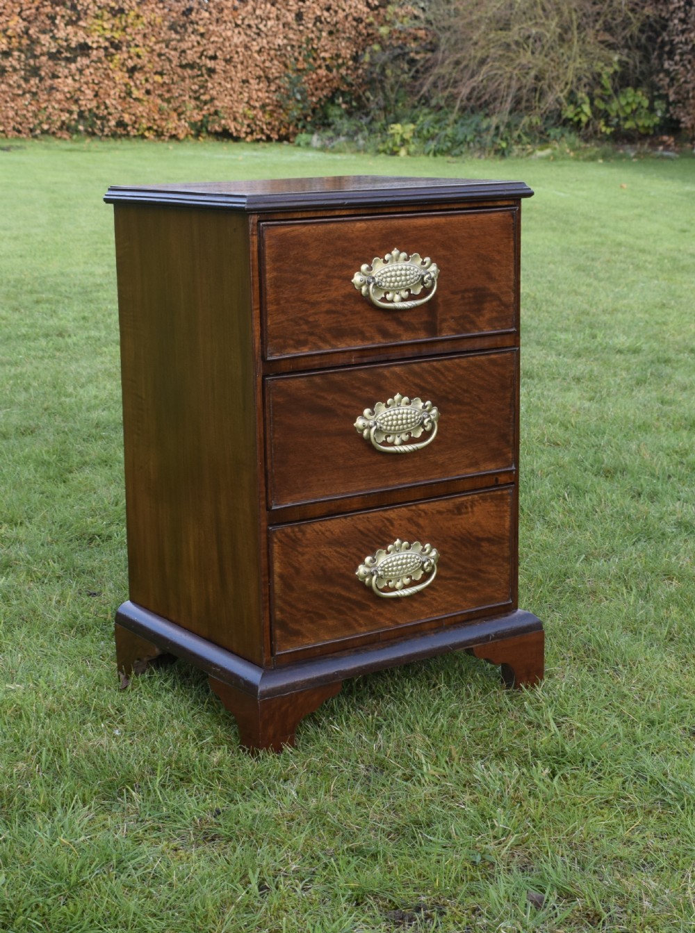 19th Century Mahogany Chest View II