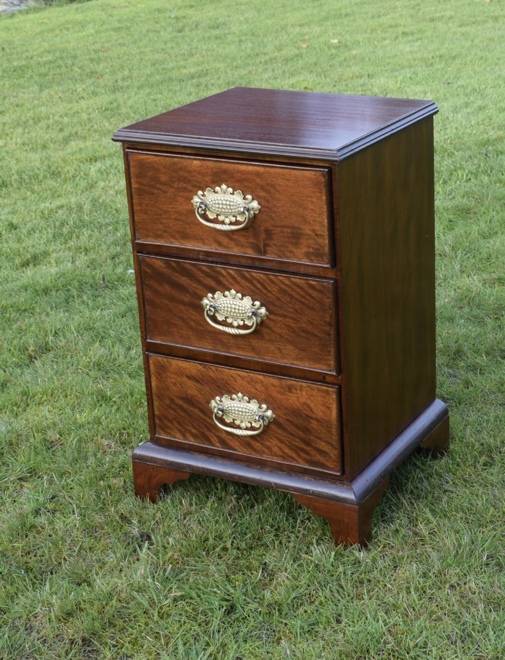 19th Century Mahogany Chest View IV