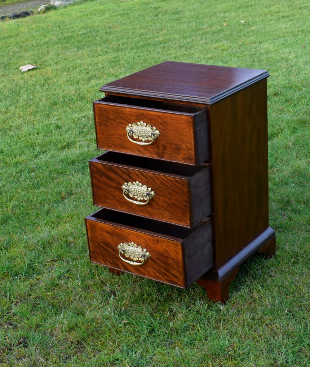 19th Century Mahogany Chest View V
