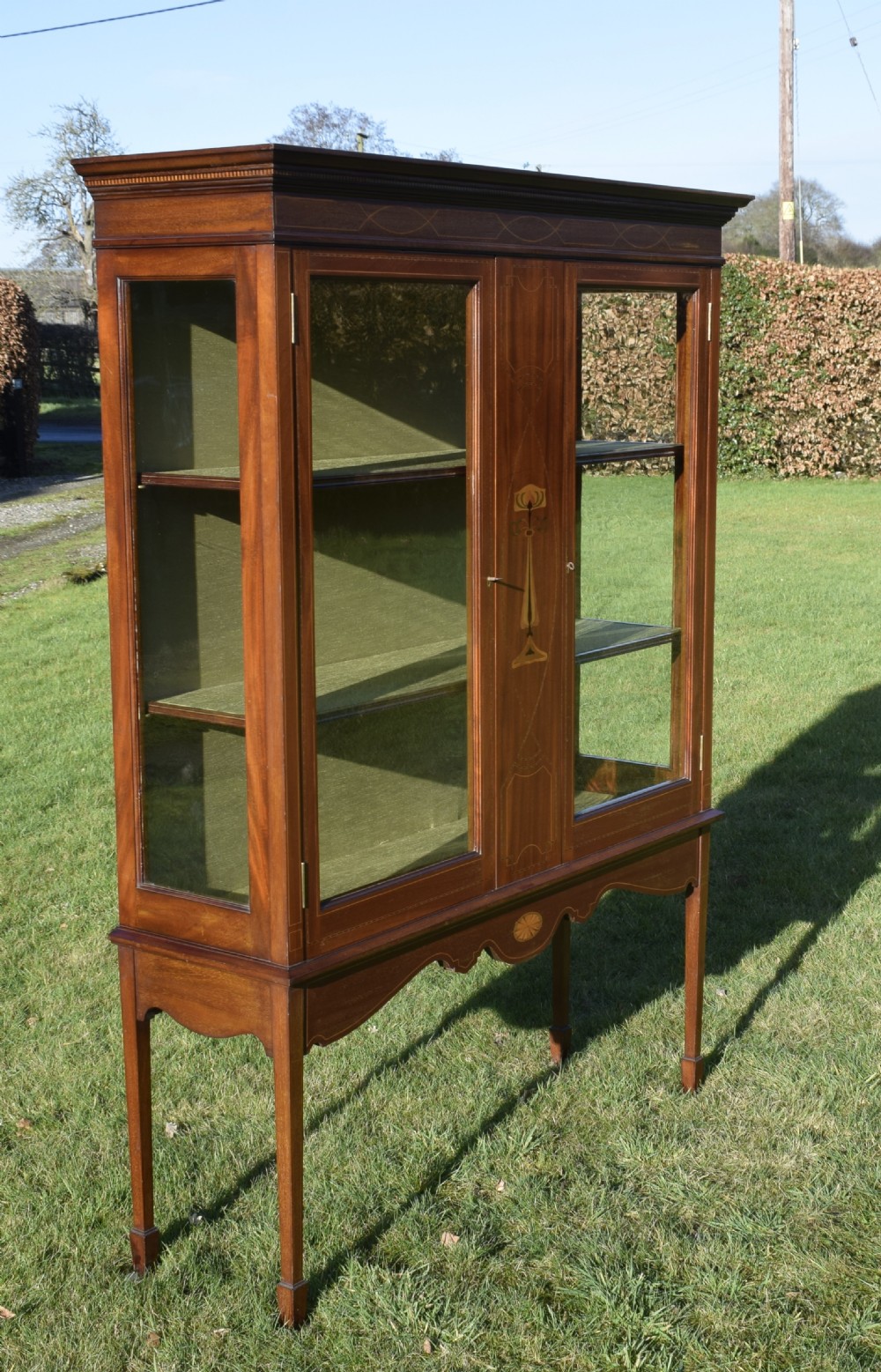 An early 20th-century mahogany Art Nouveau display cabinet featuring glazed doors, central inlaid botanical marquetry, and a fabric-lined interior on slender legs. View XII