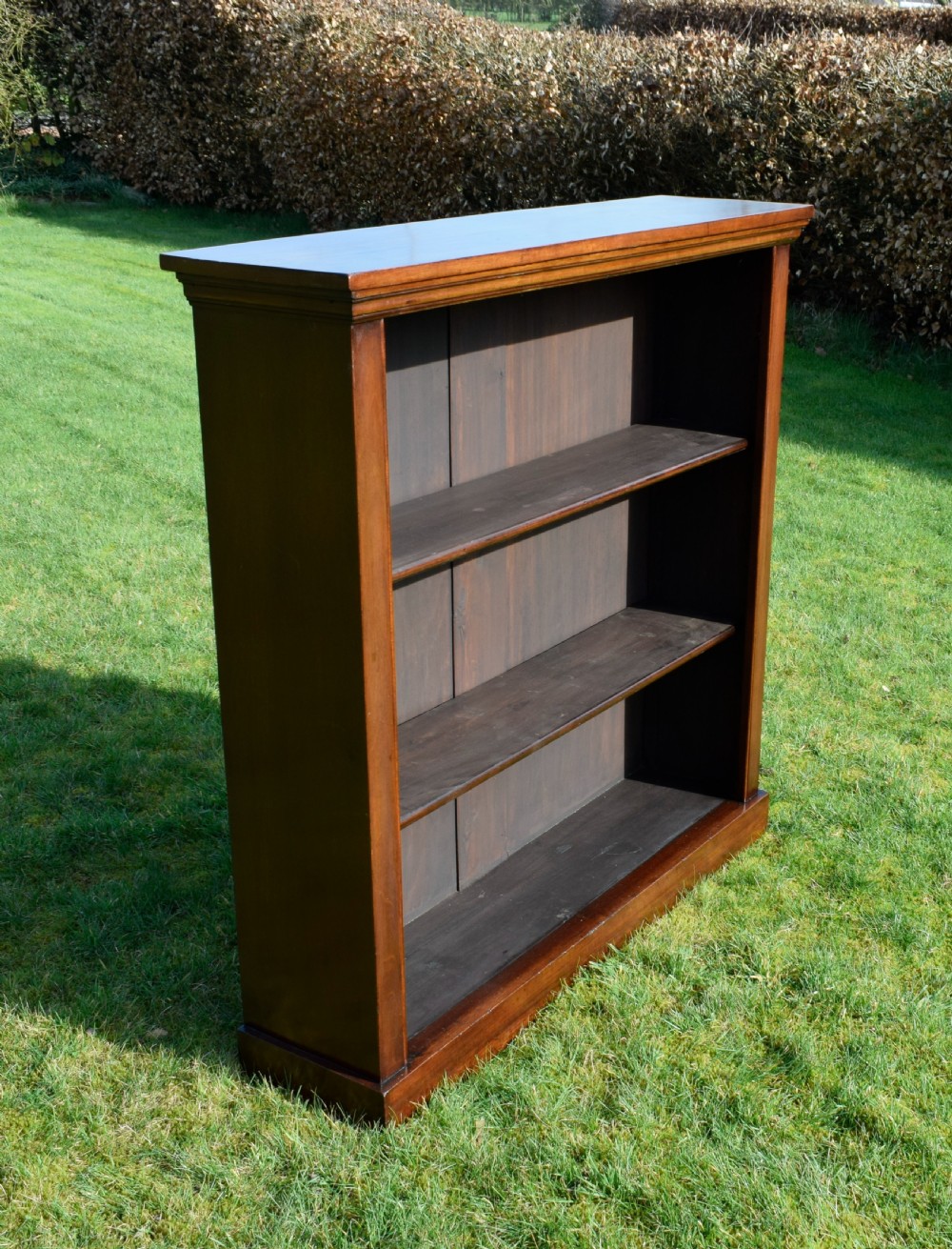 Victorian Mahogany Bookcase View III