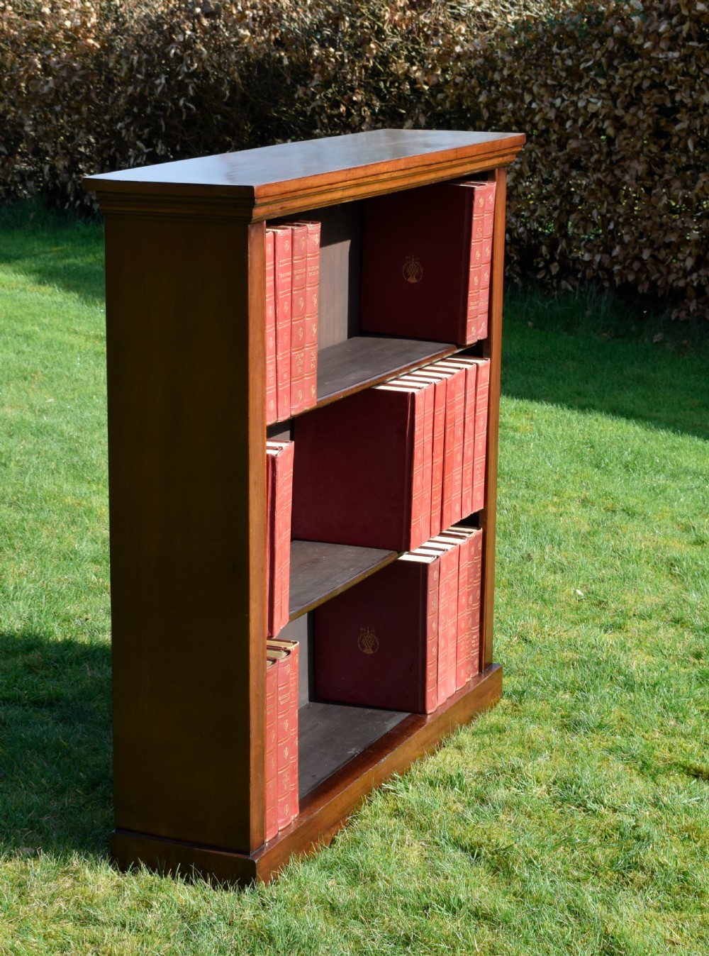 Victorian Mahogany Bookcase View VII