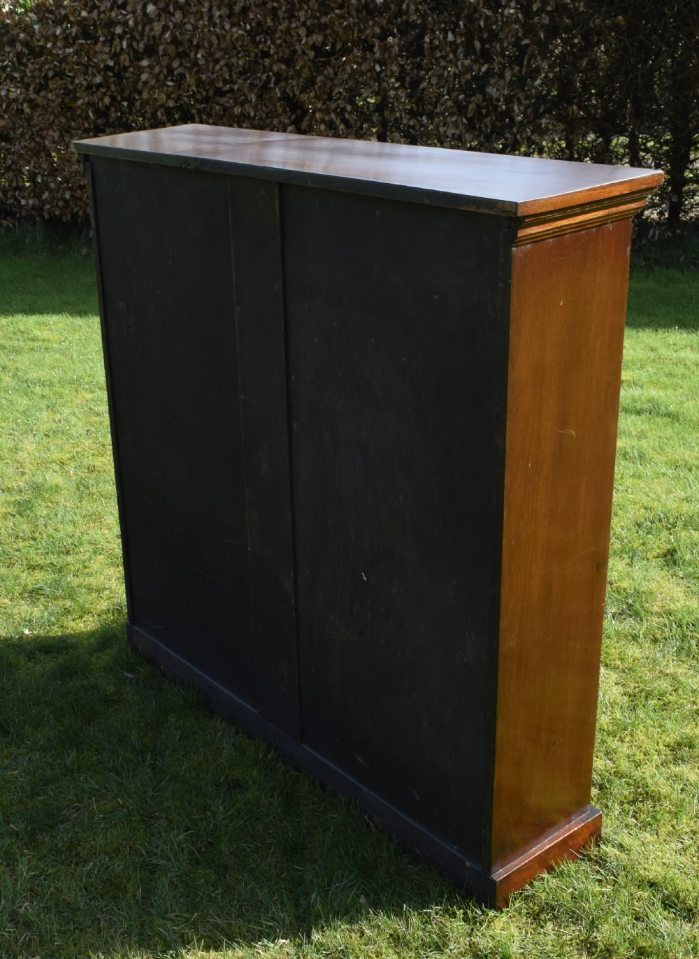 Victorian Mahogany Bookcase View XII