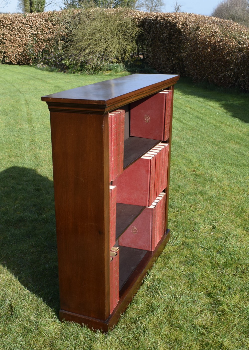 Victorian Mahogany Bookcase View XIV