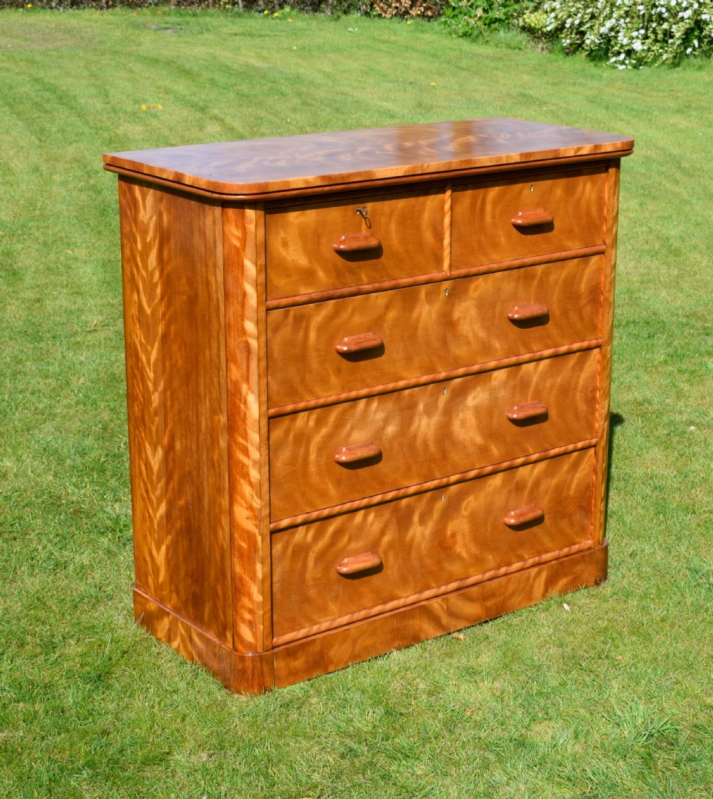 Victorian golden birch chest of drawers featuring a two-over-three drawer configuration, rounded corners, integrated timber handles, and a plinth base.