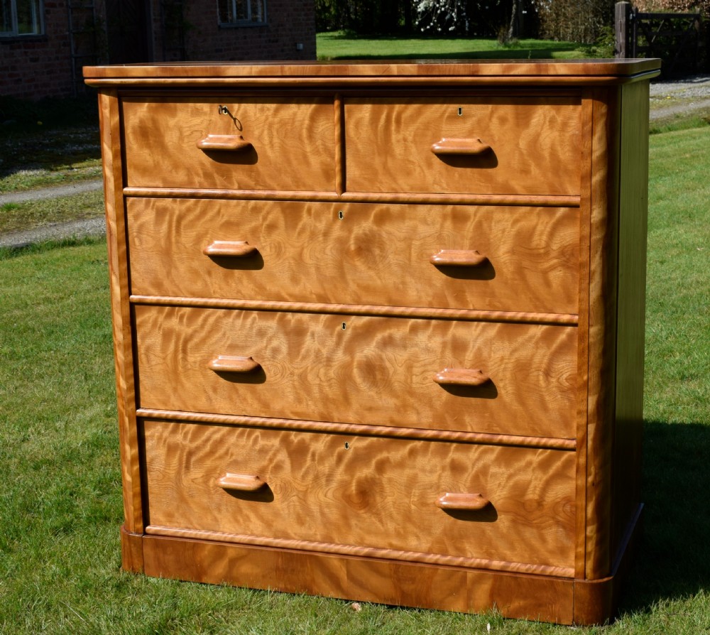 Victorian golden birch chest of drawers featuring a two-over-three drawer configuration, rounded corners, integrated timber handles, and a plinth base. View III