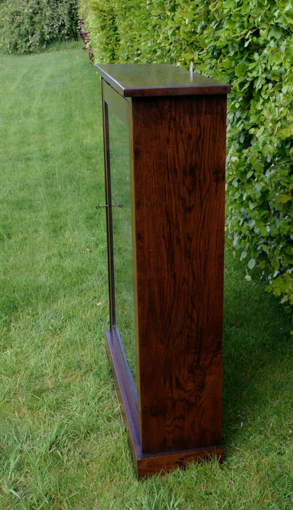 A dark oak glazed cabinet featuring a single glass door opening to internal shelving backed with a neutral patterned fabric lining. View VI