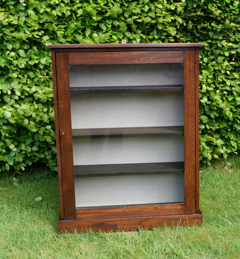 A dark oak glazed cabinet featuring a single glass door opening to internal shelving backed with a neutral patterned fabric lining. View IX