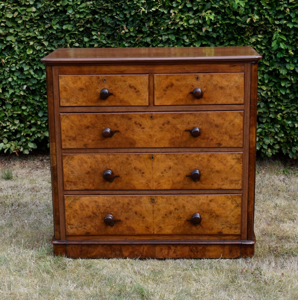 A Victorian burr walnut chest of drawers featuring two short over three long graduated drawers with turned wooden knobs and a solid plinth base. View II