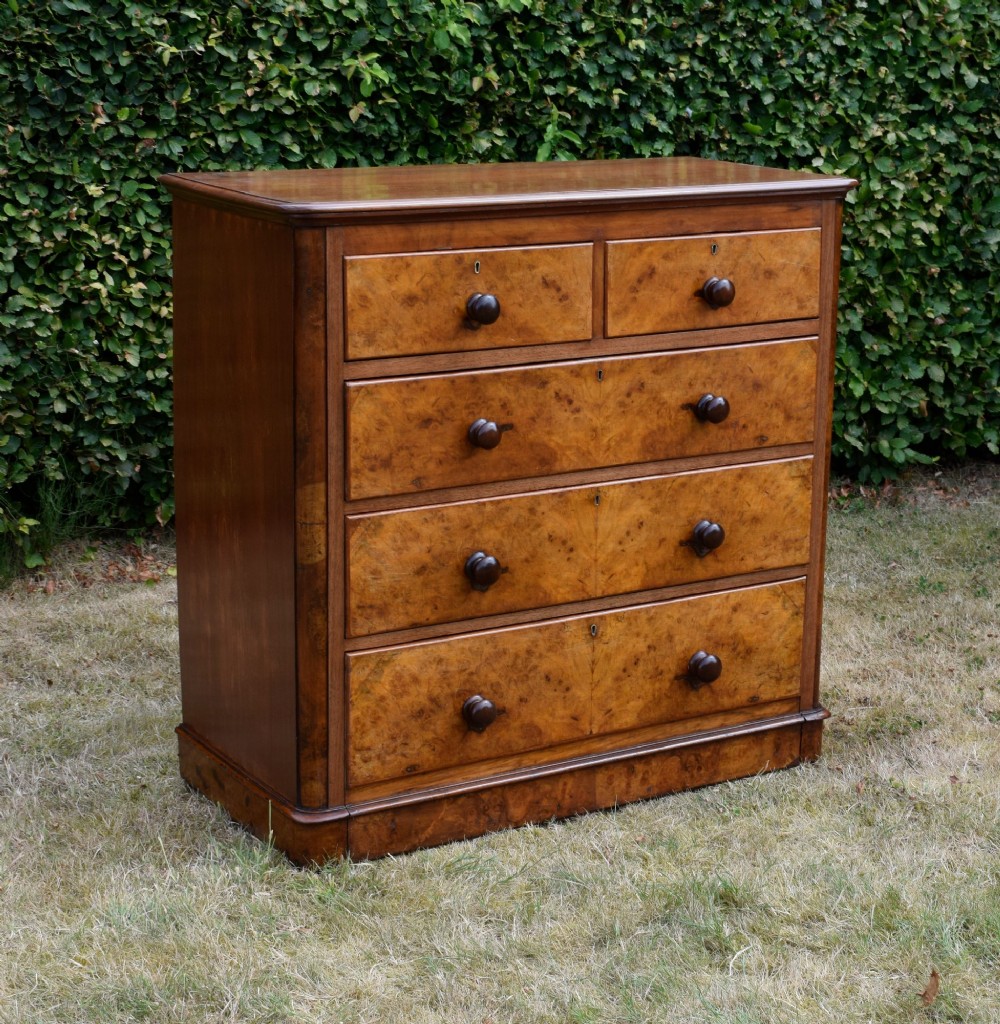 A Victorian burr walnut chest of drawers featuring two short over three long graduated drawers with turned wooden knobs and a solid plinth base. View III