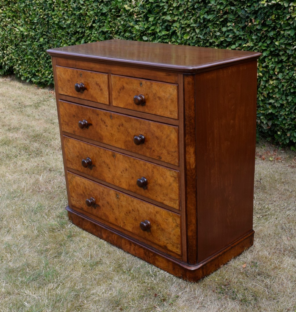 A Victorian burr walnut chest of drawers featuring two short over three long graduated drawers with turned wooden knobs and a solid plinth base. View IV