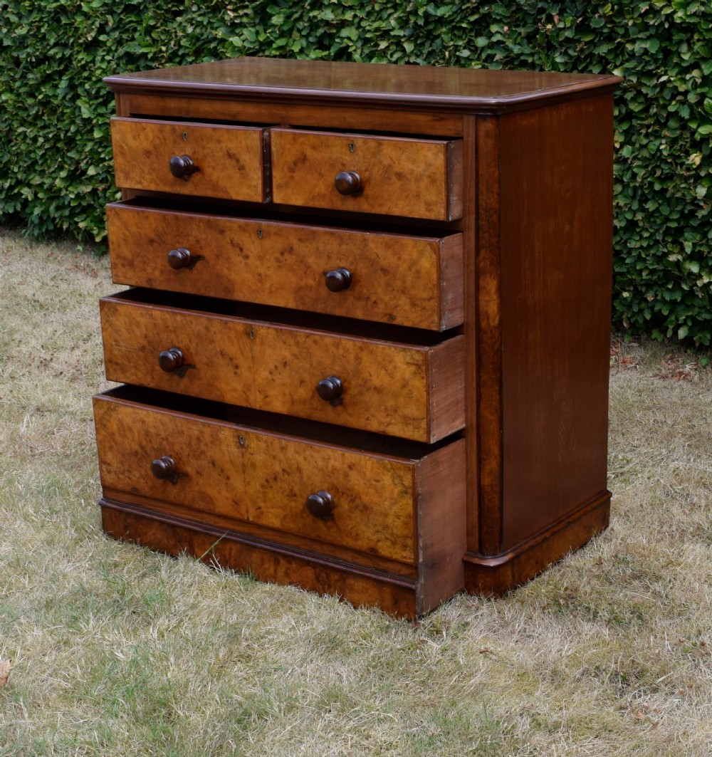 A Victorian burr walnut chest of drawers featuring two short over three long graduated drawers with turned wooden knobs and a solid plinth base. View V