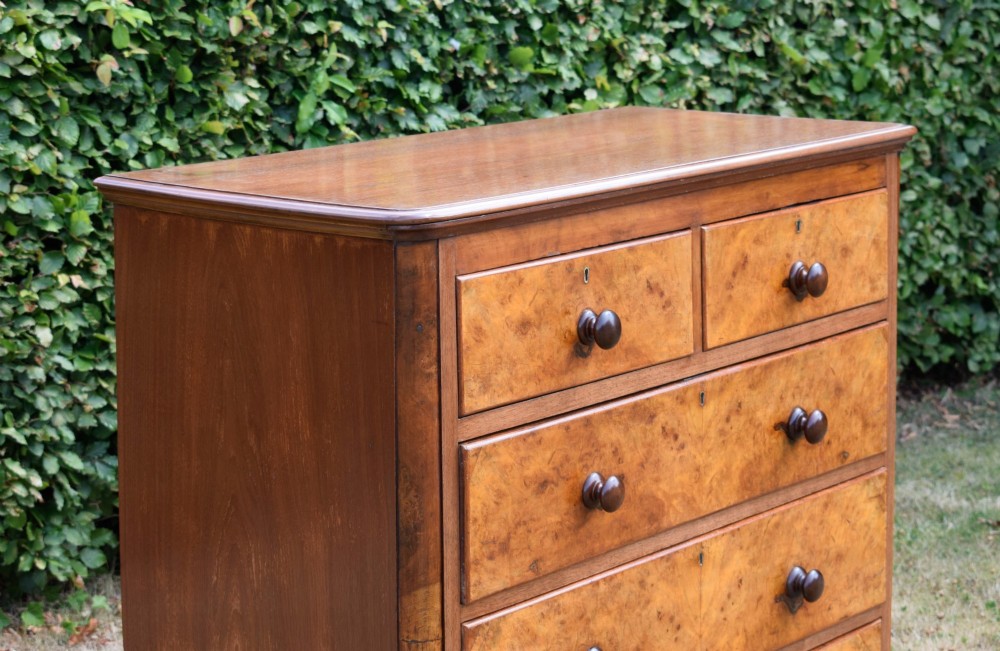 A Victorian burr walnut chest of drawers featuring two short over three long graduated drawers with turned wooden knobs and a solid plinth base. View X