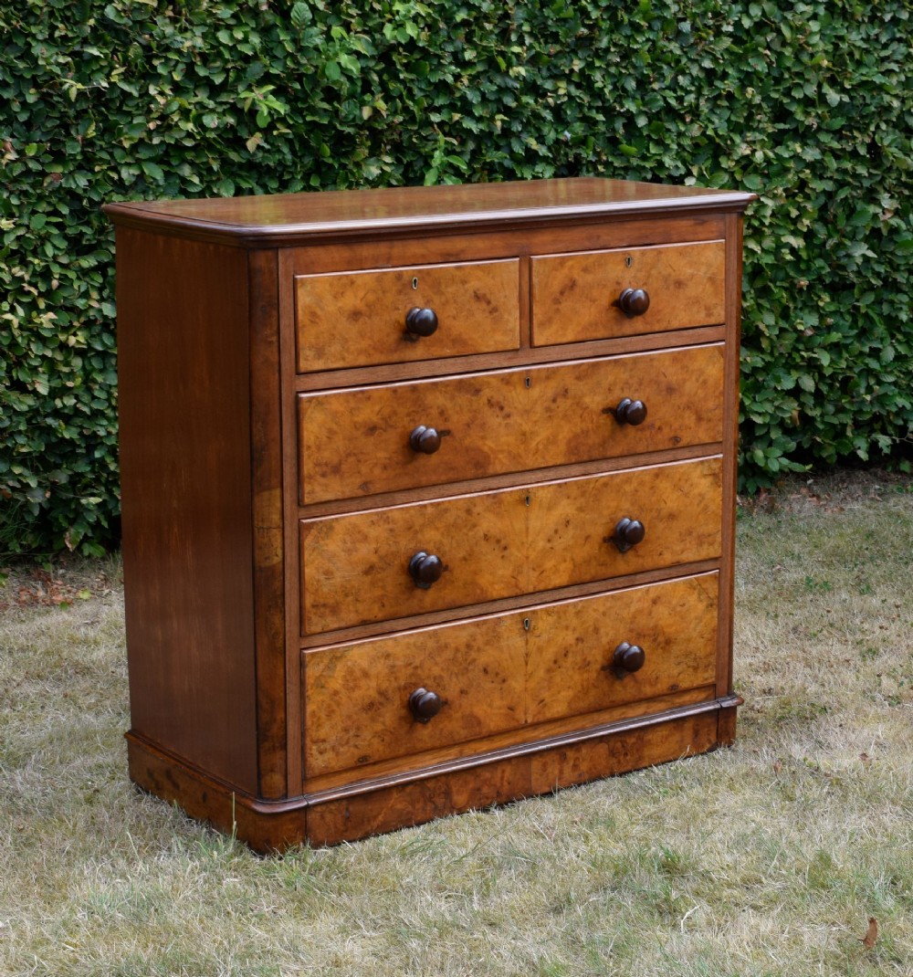 A Victorian burr walnut chest of drawers featuring two short over three long graduated drawers with turned wooden knobs and a solid plinth base. View XIV