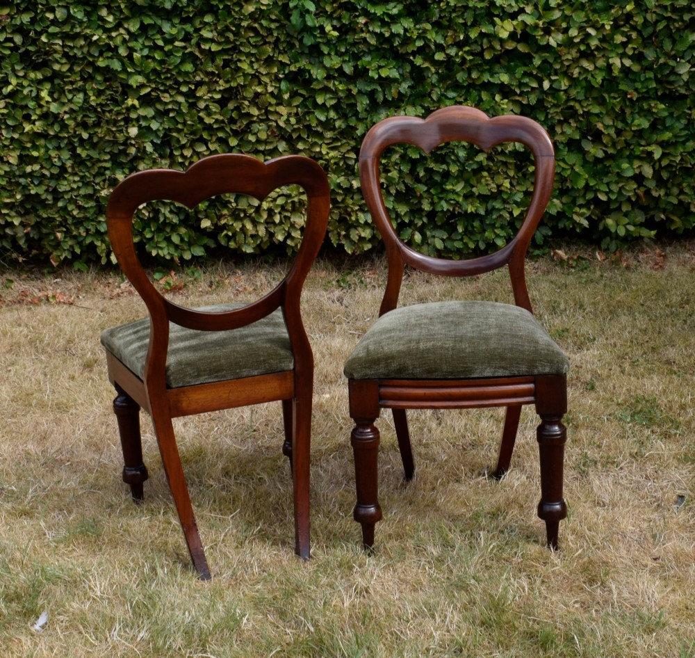 A pair of Victorian mahogany crown back dining chairs with green velvet upholstered seats and turned front legs. View VI