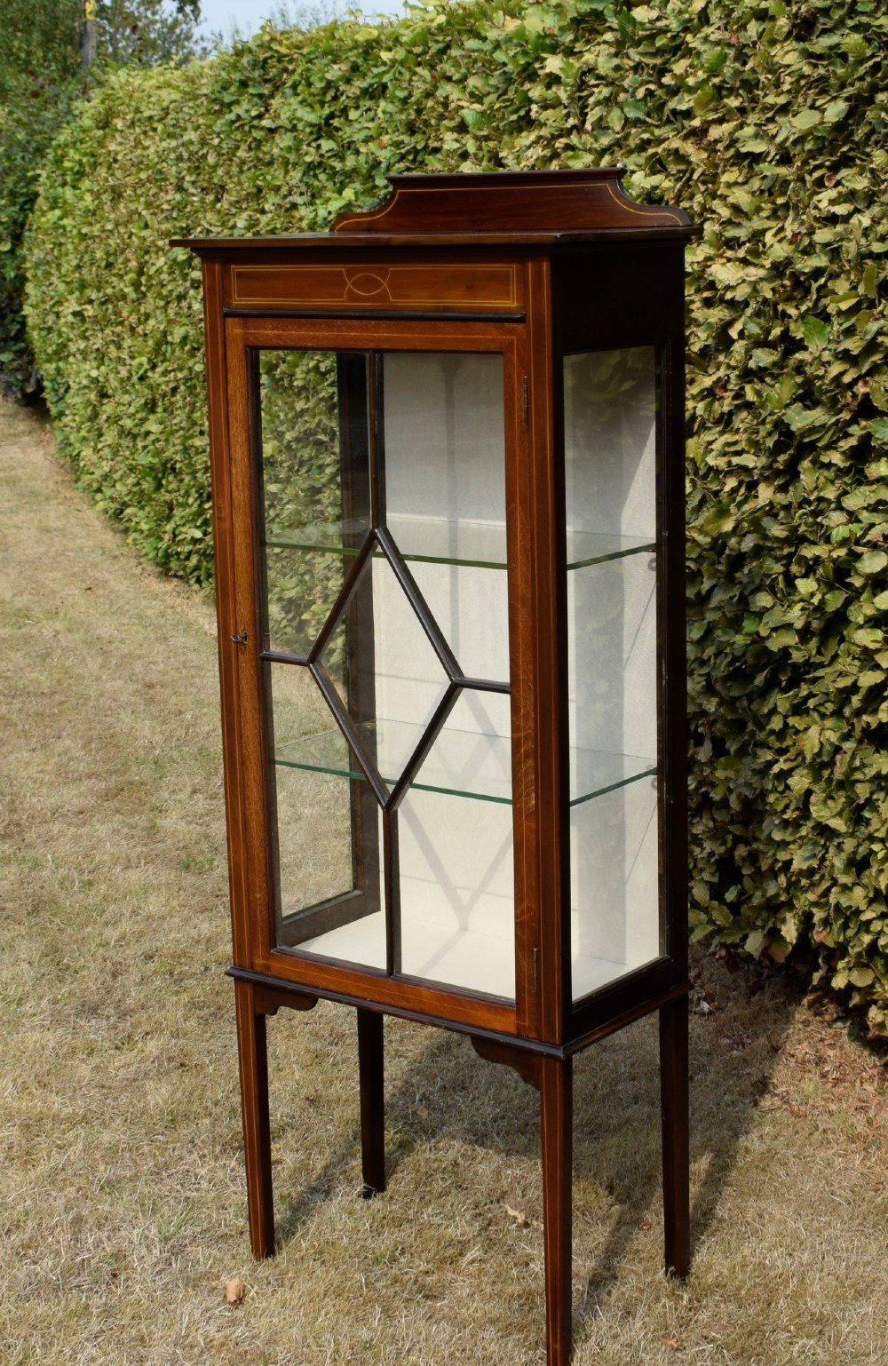 An Edwardian mahogany display cabinet featuring satinwood inlay, a single door with a central diamond astragal glazing bar, glass shelves, and square tapered legs. View V