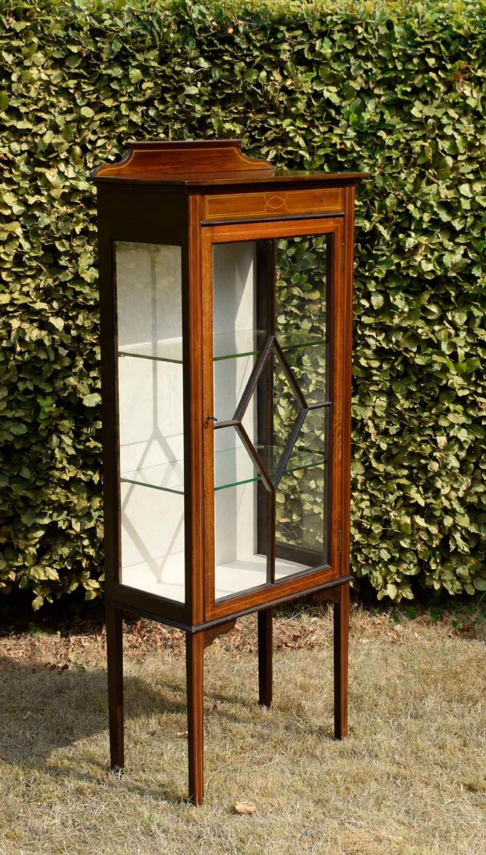 An Edwardian mahogany display cabinet featuring satinwood inlay, a single door with a central diamond astragal glazing bar, glass shelves, and square tapered legs. View VI
