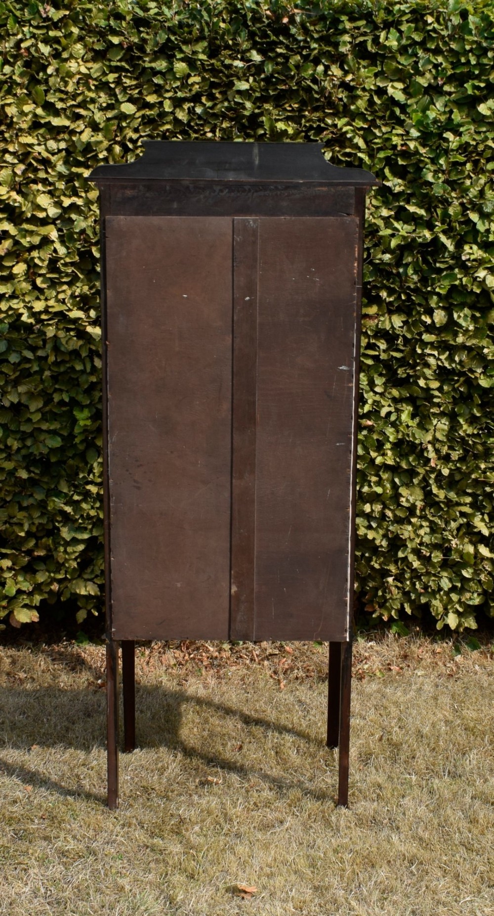 An Edwardian mahogany display cabinet featuring satinwood inlay, a single door with a central diamond astragal glazing bar, glass shelves, and square tapered legs. View IX
