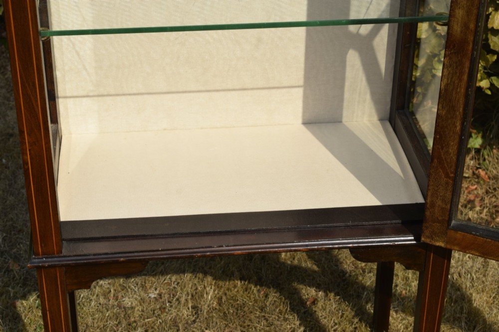 An Edwardian mahogany display cabinet featuring satinwood inlay, a single door with a central diamond astragal glazing bar, glass shelves, and square tapered legs. View XI