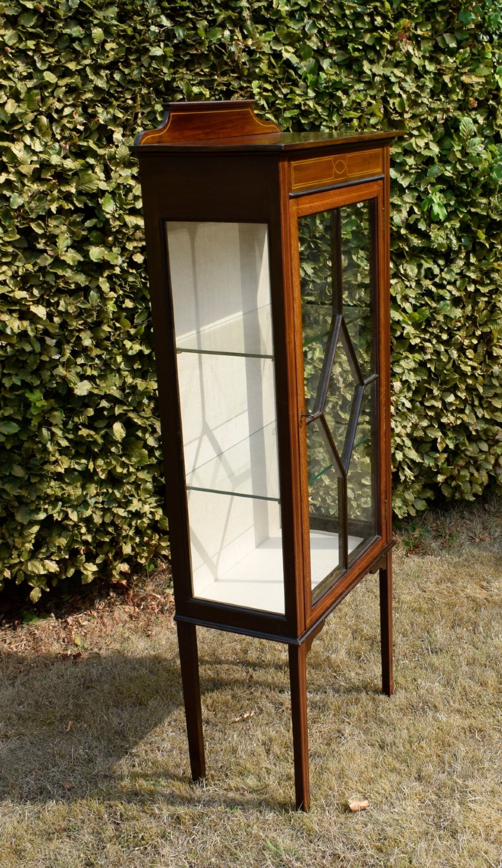 An Edwardian mahogany display cabinet featuring satinwood inlay, a single door with a central diamond astragal glazing bar, glass shelves, and square tapered legs. View XIV