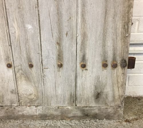 PAIR OF 19TH CENTURY FRENCH OAK DOORS - ADDITIONAL PHOTO 15