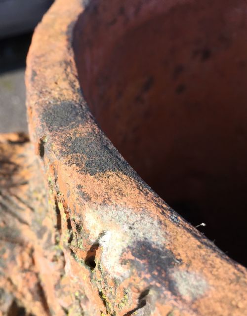 TERRACOTTA TREE TRUNK PLANTER - ADDITIONAL PHOTO 3