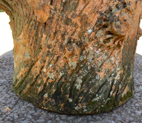 TERRACOTTA TREE TRUNK PLANTER - ADDITIONAL PHOTO 7