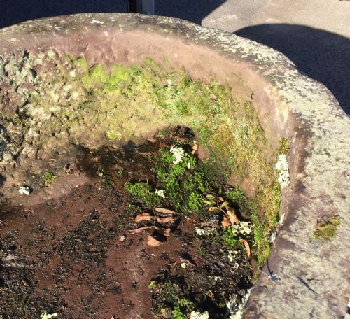 19TH CENTURY SANDSTONE D END TROUGH - ADDITIONAL PHOTO 9