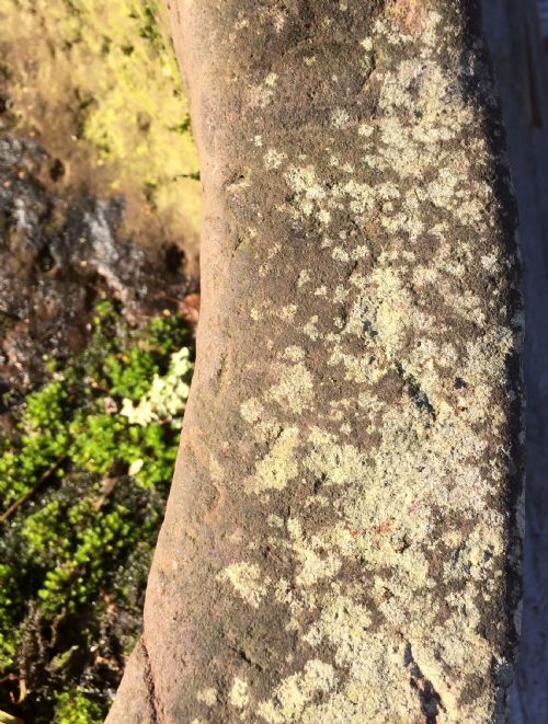 19TH CENTURY SANDSTONE D END TROUGH - ADDITIONAL PHOTO 10