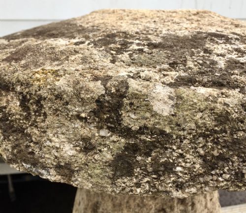 19TH CENTURY CORNISH GRANITE STADDLE STONE - ADDITIONAL PHOTO 1
