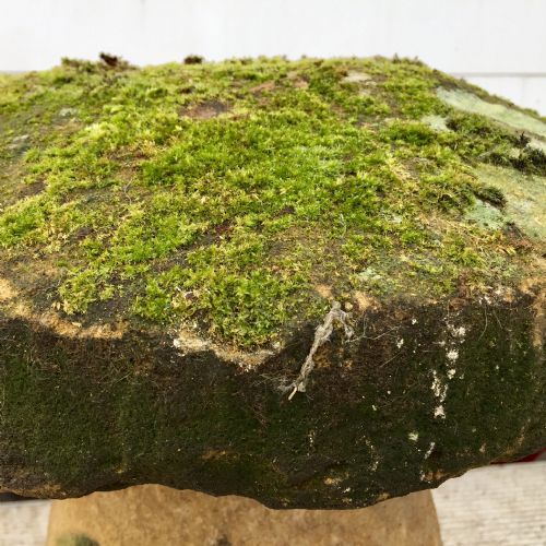 19TH CENTURY SANDSTONE STADDLE STONE - ADDITIONAL PHOTO 3