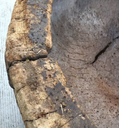19TH CENTURY MORTAR FROM HAND CARVED HOLLOWED OUT TREE TRUNK - ADDITIONAL PHOTO 7