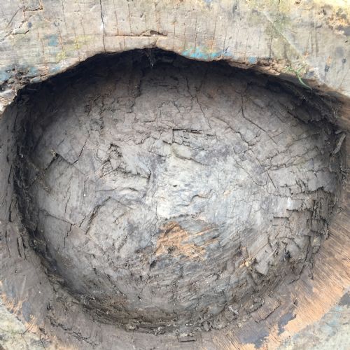 19TH CENTURY MORTAR FROM HAND CARVED HOLLOWED OUT TREE TRUNK - ADDITIONAL PHOTO 11