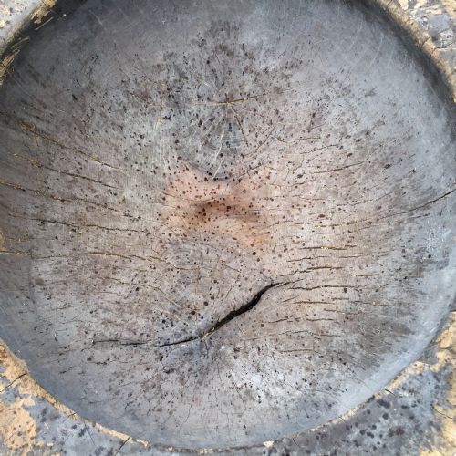 19TH CENTURY MORTAR FROM HAND CARVED HOLLOWED OUT TREE TRUNK - ADDITIONAL PHOTO 13
