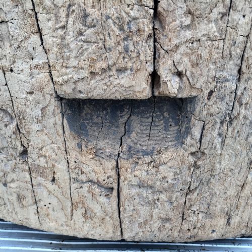 19TH CENTURY MORTAR FROM HAND CARVED HOLLOWED OUT TREE TRUNK - ADDITIONAL PHOTO 14