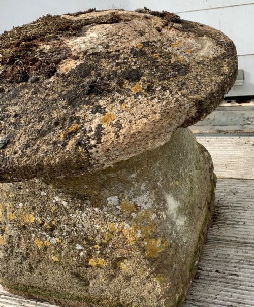 19TH CENTURY HAM STONE STADDLE STONE - ADDITIONAL PHOTO 2