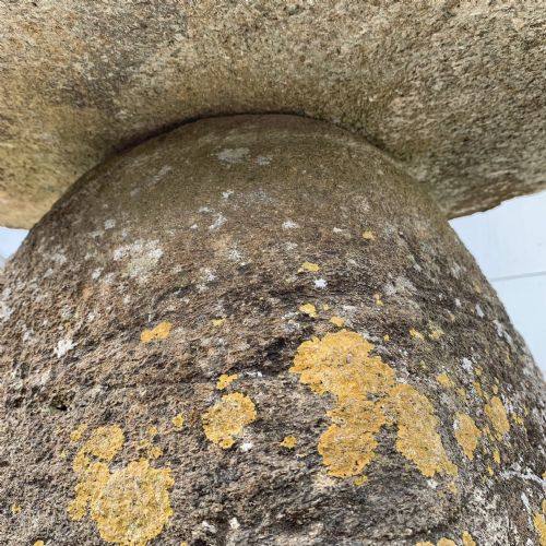 19TH CENTURY HAM STONE STADDLE STONE - ADDITIONAL PHOTO 4