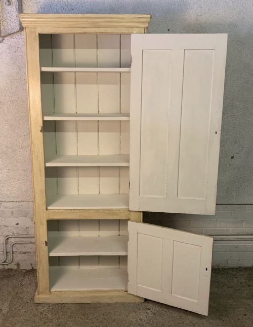 19TH CENTURY PAINTED PINE 2 DOOR LARDER CUPBOARD - ADDITIONAL PHOTO 2