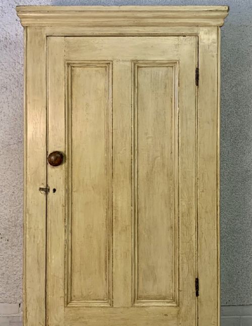 19TH CENTURY PAINTED PINE 2 DOOR LARDER CUPBOARD - ADDITIONAL PHOTO 3