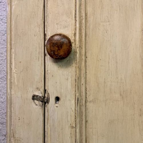 19TH CENTURY PAINTED PINE 2 DOOR LARDER CUPBOARD - ADDITIONAL PHOTO 5