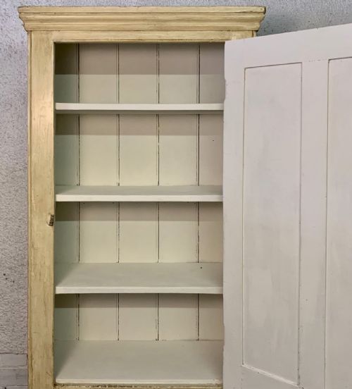 19TH CENTURY PAINTED PINE 2 DOOR LARDER CUPBOARD - ADDITIONAL PHOTO 7