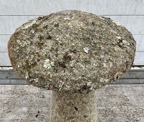 19TH CENTURY CORNISH GRANITE STADDLE STONE - ADDITIONAL PHOTO 1