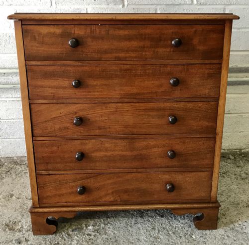 VICTORIAN MAHOGANY BANK OF 5 COLLECTORS DRAWERS WITH ORIGINAL EBONIZED KNOBS - ADDITIONAL PHOTO 1