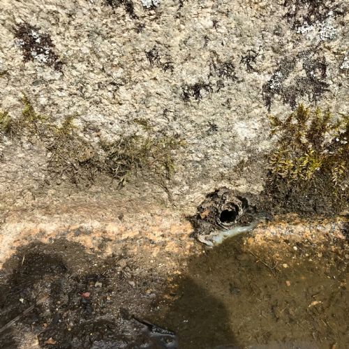 CIRCA 1800 LARGE CORNISH GRANITE WATER TROUGH - ADDITIONAL PHOTO 8