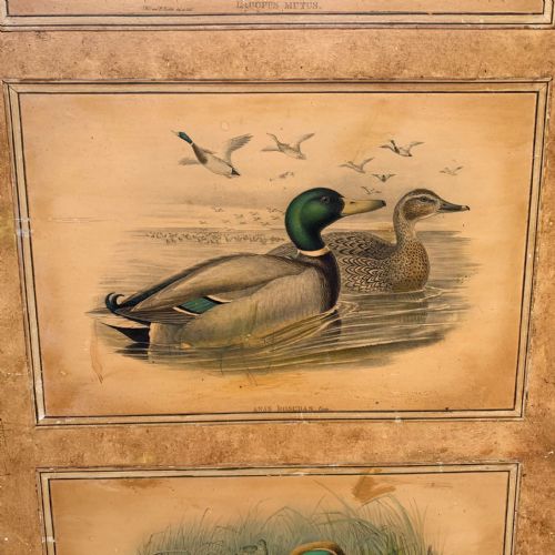 1920'S 3 FOLD SCREEN DECORATED SOLD - ADDITIONAL PHOTO 1