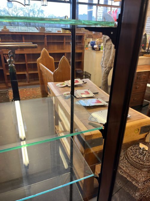 1920S 2 DOOR MAHOGANY DISPLAY CABINET ON CABRIOLE LEGS - ADDITIONAL PHOTO 5