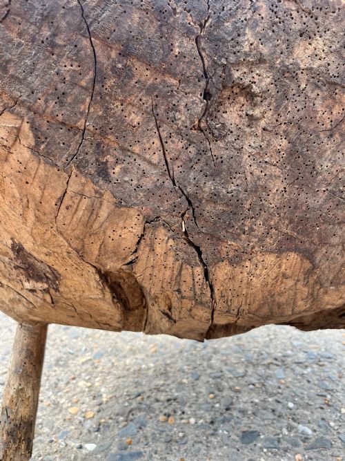 19TH CENTURY TREE TRUNK CHOPPING BLOCK - ADDITIONAL PHOTO 5